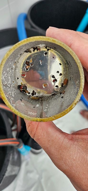 AC strainer basket removed and held up to the light.