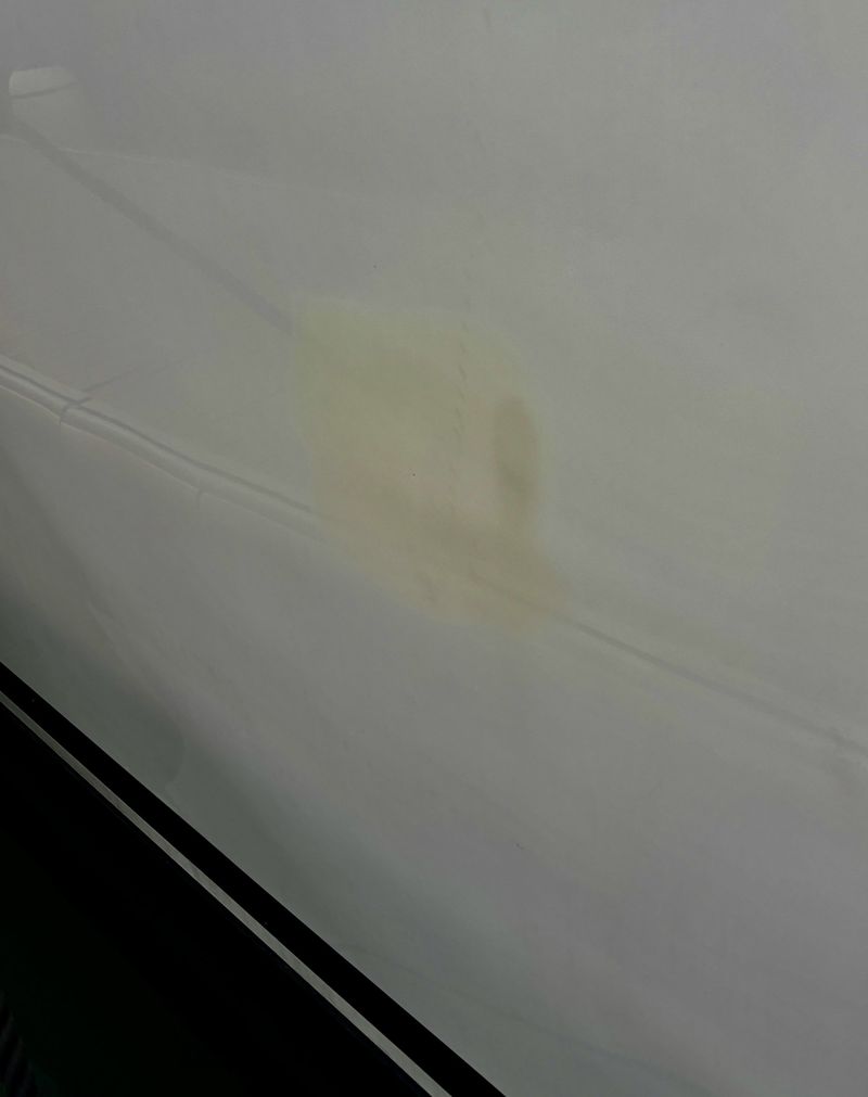 Yellowish stain on the topsides above the boot-top stripes